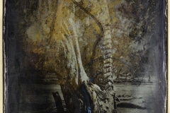 Clayton John: Vestige of Beauty, mixed media.
